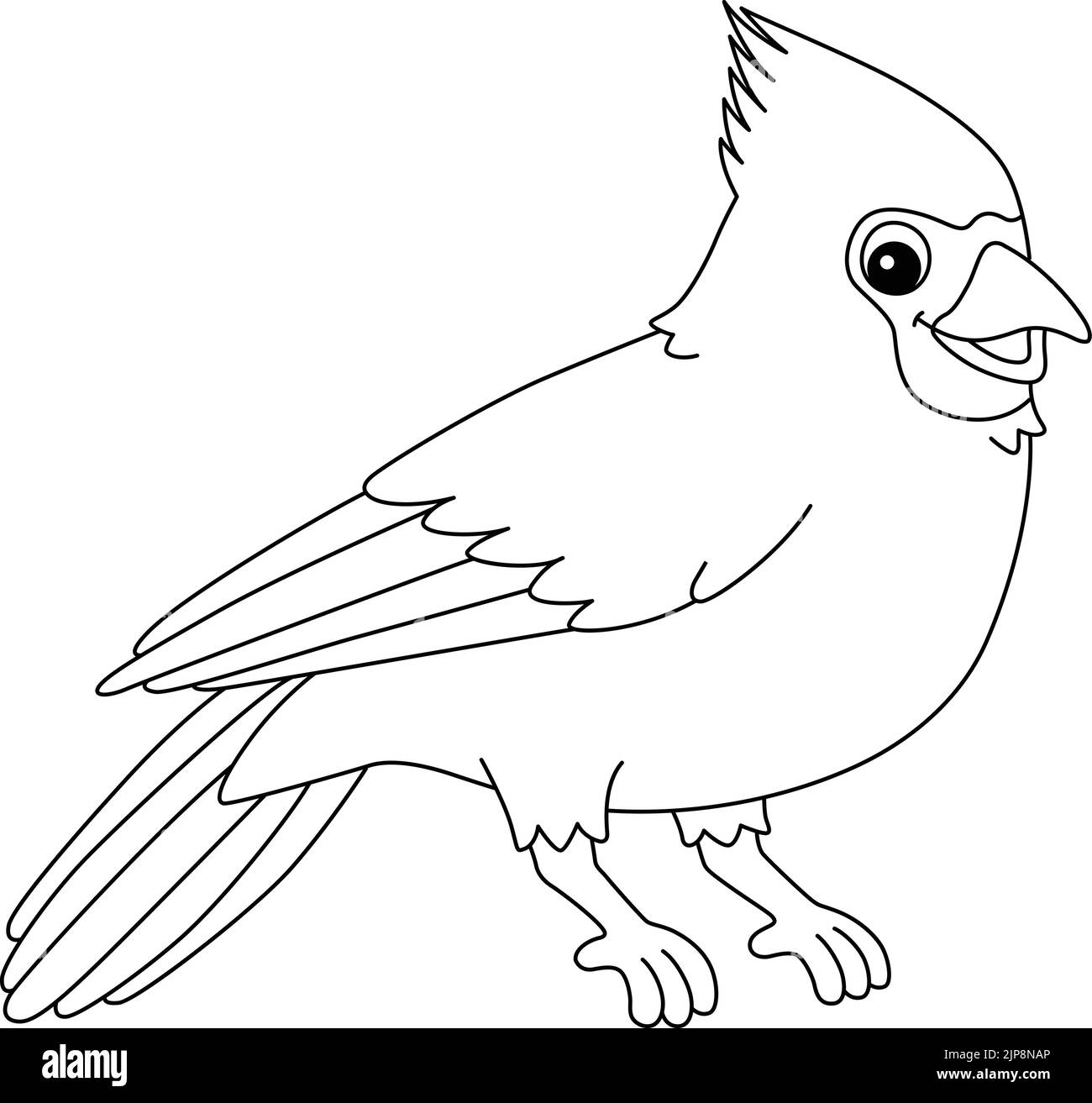 Cardinal bird coloring page hi