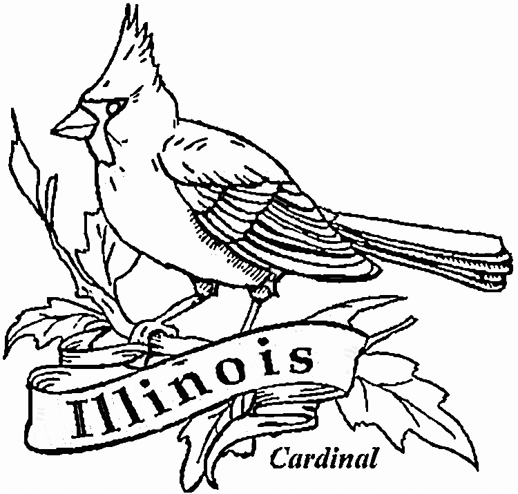 Cardinal coloring pages
