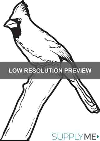 Printable cardinal coloring page for kids â
