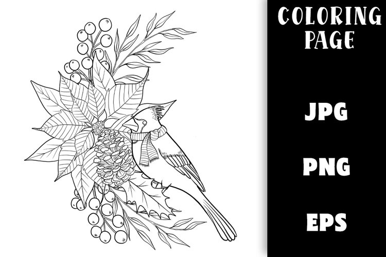 Bird coloring pages design bundles