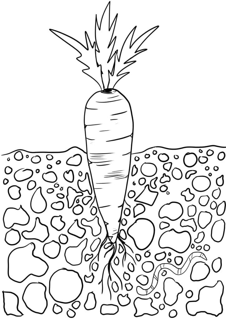 Free carrot template printables