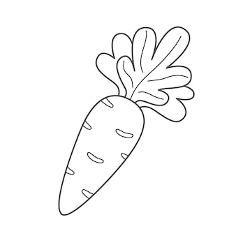 Carrot coloring pages vectors illustrations for free download