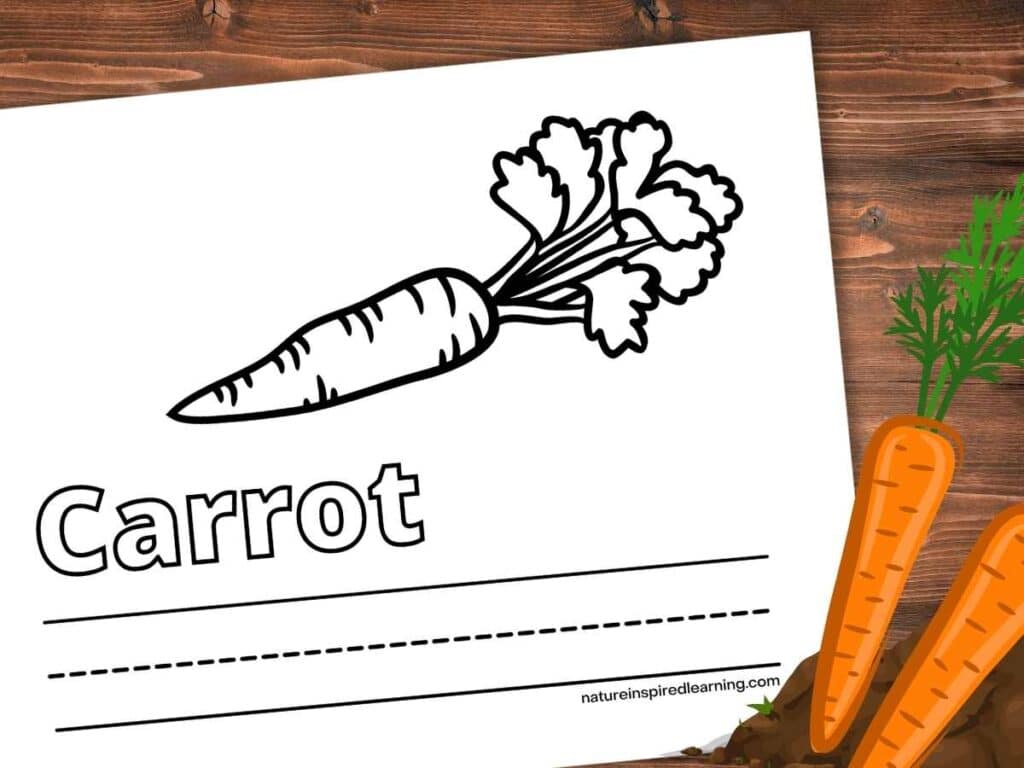 Simple carrot coloring pages