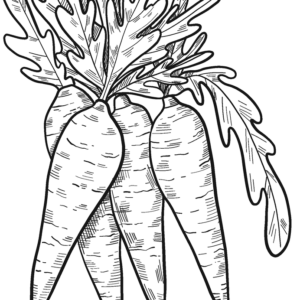 Carrot coloring pages printable for free download