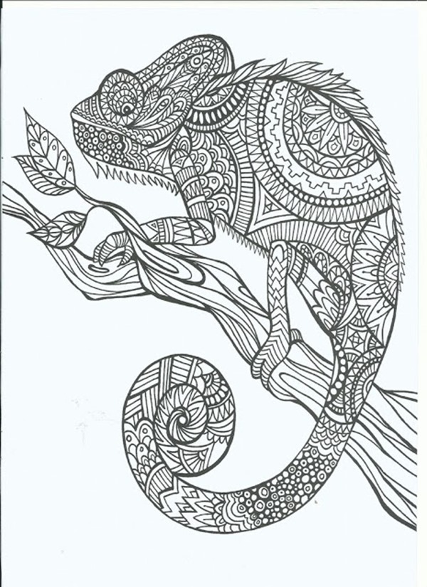 Free printable coloring pages for adults more designs