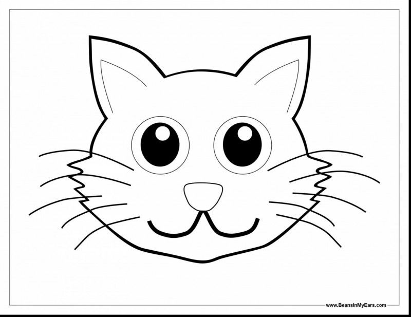 Cat drawing templates at getdrawings free for personal from blank cat in the hat template sourceâ cat coloring page cat face drawing animal coloring pages