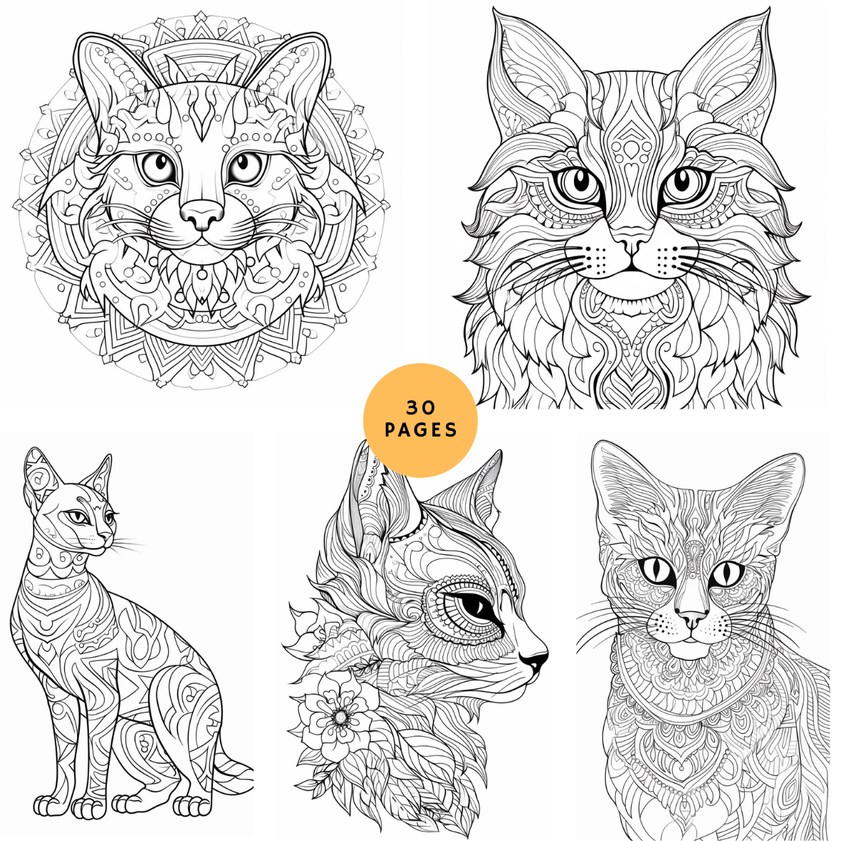 Whisker wonders cats mandalas printable coloring book for cat lover â waiting for colors