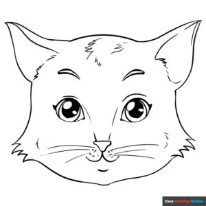 Cat face coloring page easy drawing guides