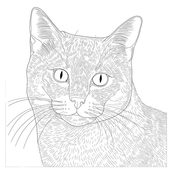 Free printable cat coloring pages list