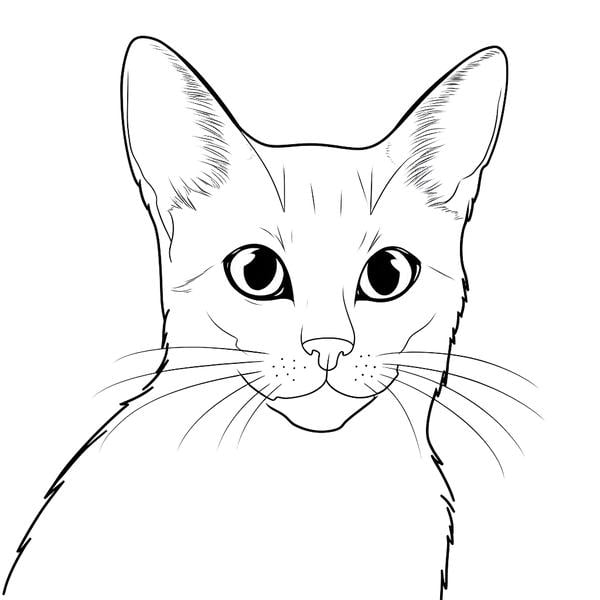 Free printable cat coloring pages list