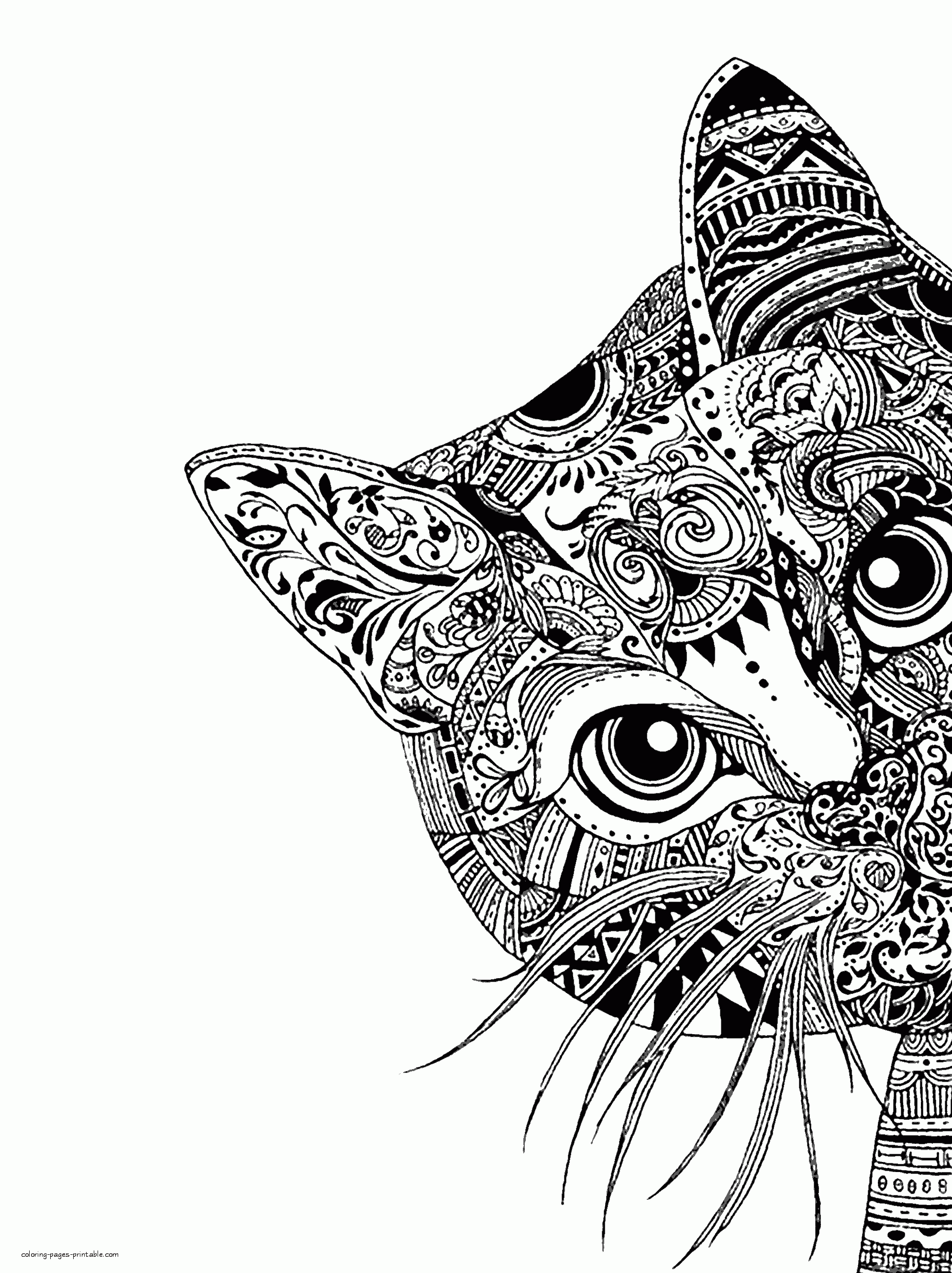 Animal face coloring pages a cat zentangle drawings cat coloring book cat coloring page