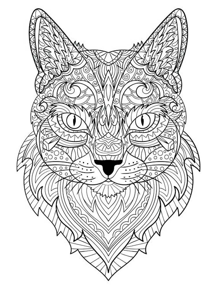 Bright cat mandala coloring page