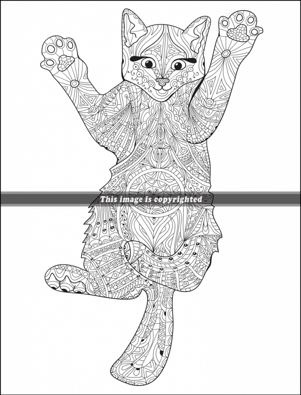 Cats with mandalas