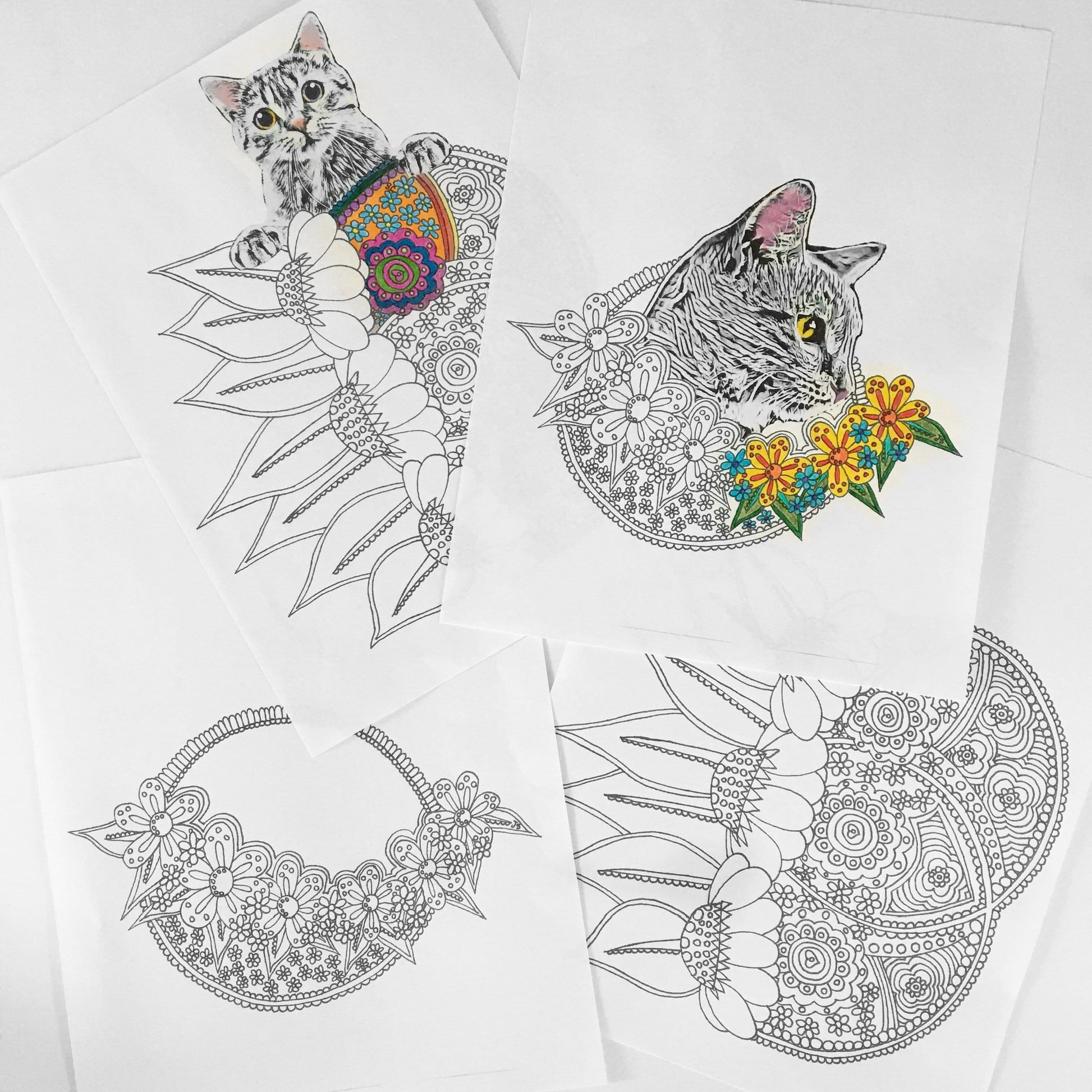 Digital download floral cat printable coloring pages for adults â knot by granma