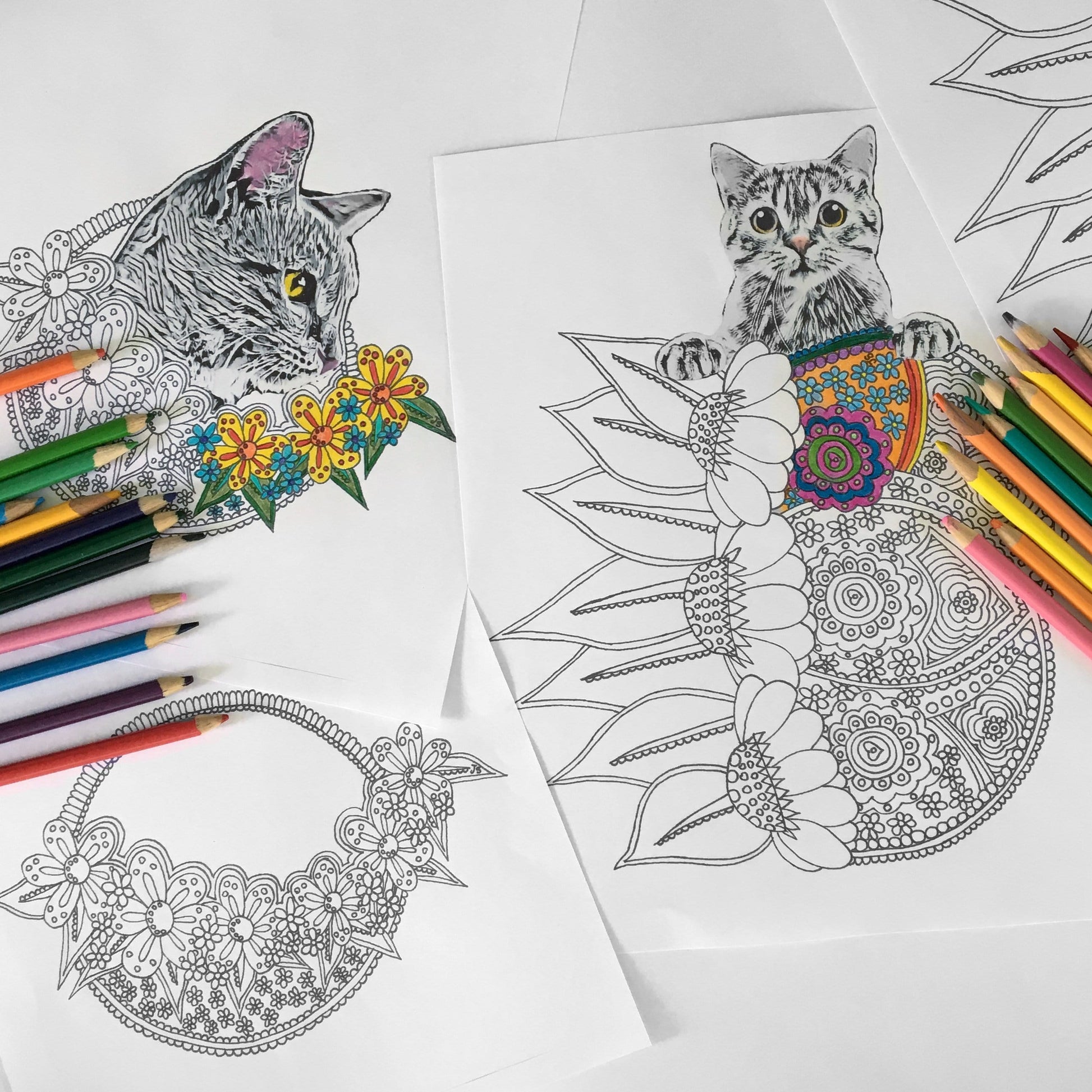 Digital download floral cat printable coloring pages for adults â knot by granma
