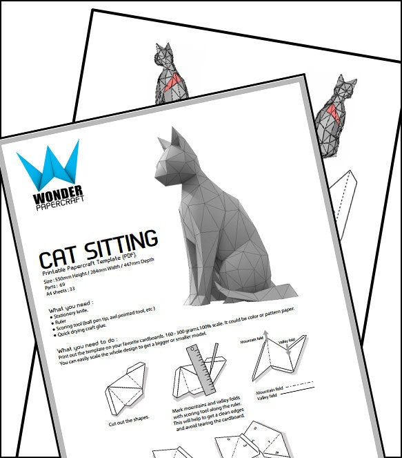 Cat â wonder ming studio