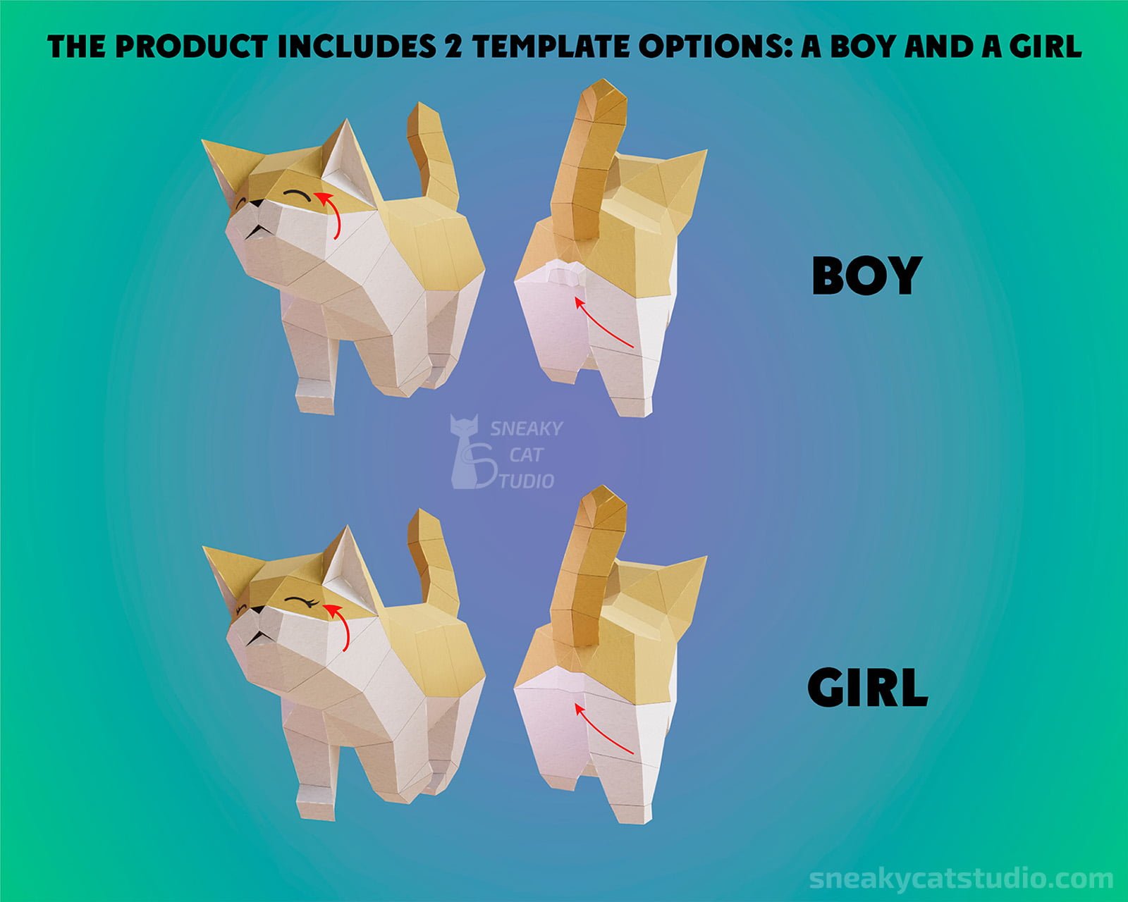 Cats boy and girl