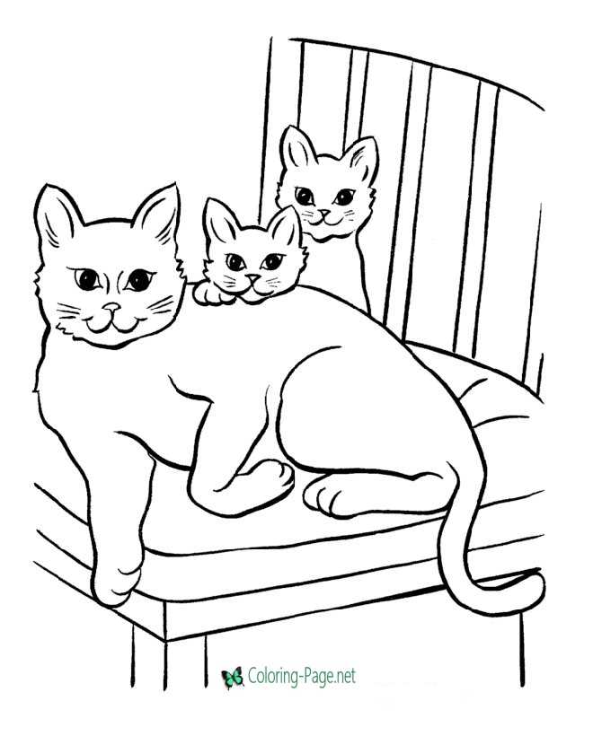 Cat coloring pages