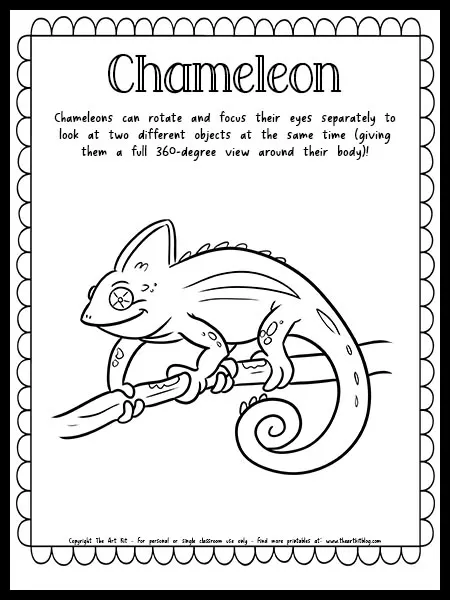 Chameleon coloring page with fun fact free printable download â the art kit