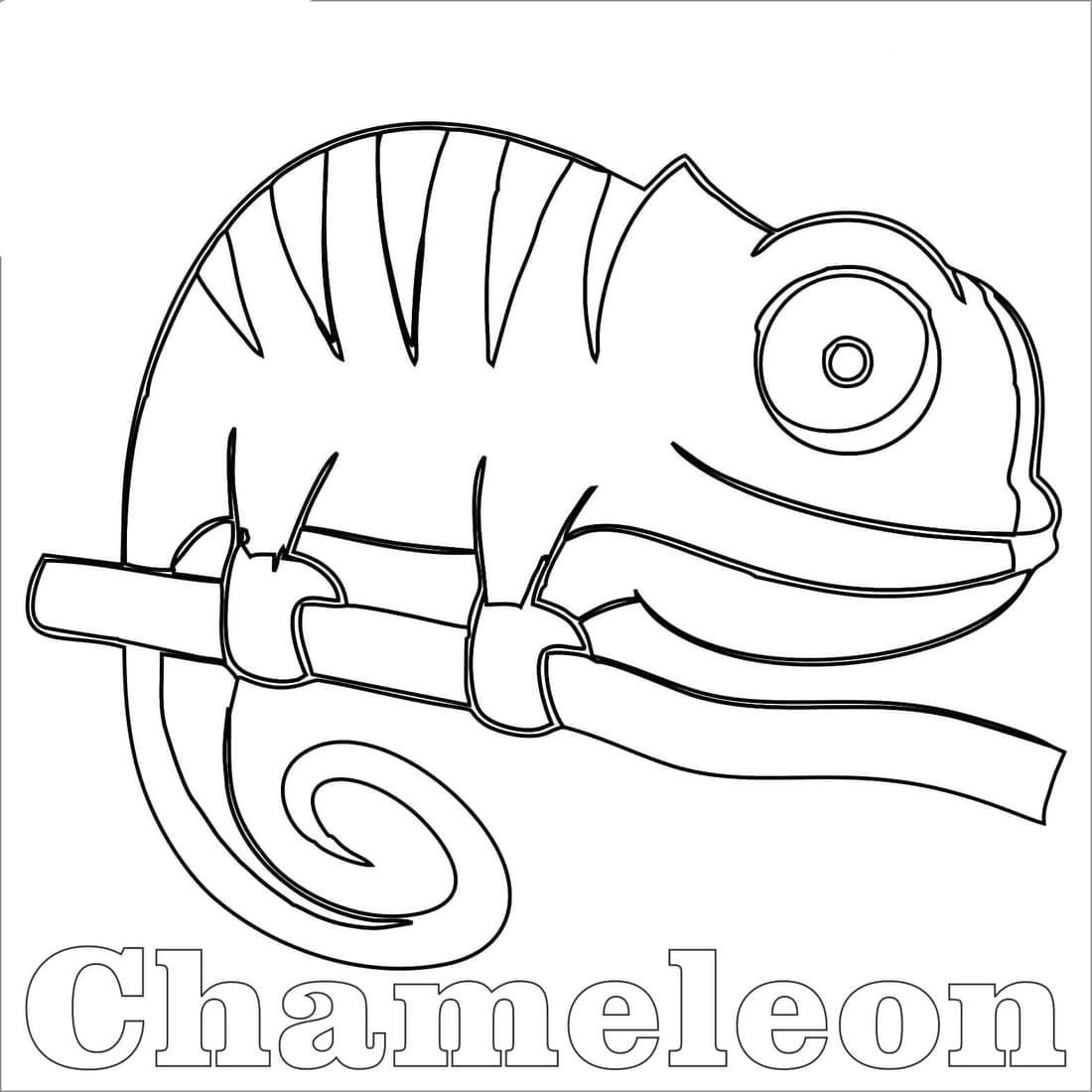 Cute little chameleon coloring page
