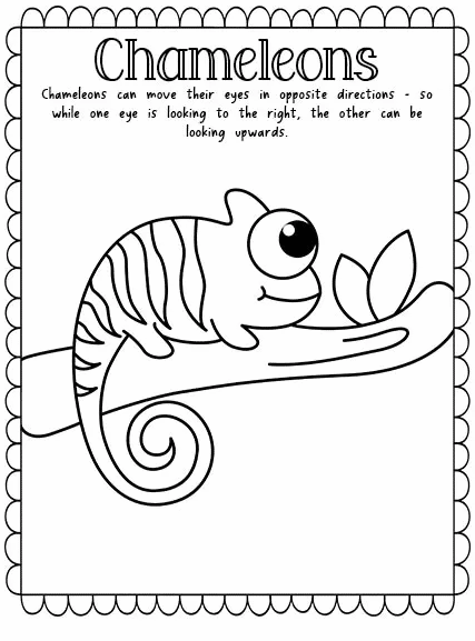 Chameleon coloring page free homeschool deals