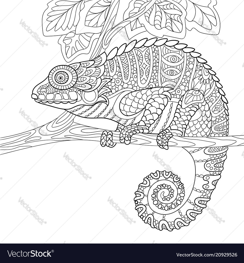 Chameleon coloring page royalty free vector image