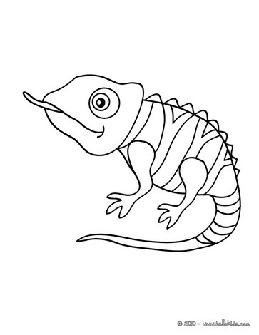Cute chameleon coloring pages