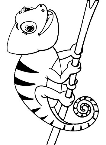 Filecoloring page chameleonjpg