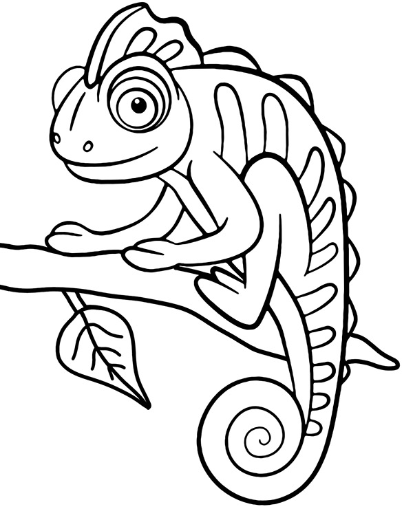 Chameleon coloring page african animals