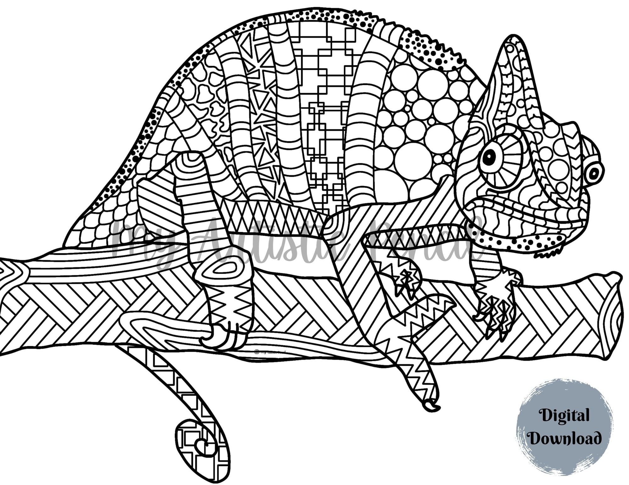 Chameleon coloring pagesanimal coloring pages adult coloring pages kids coloring pages mandala coloring