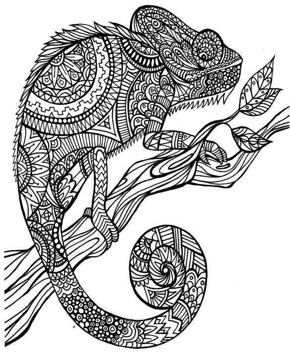 A color of his own the mixed up chameleon lesson plan ideas free printables omazing kids aac consulting