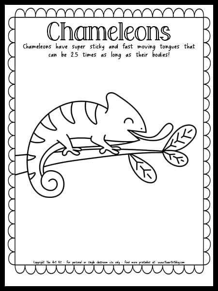 Cute chameleon coloring page with fun fact free printable â the art kit