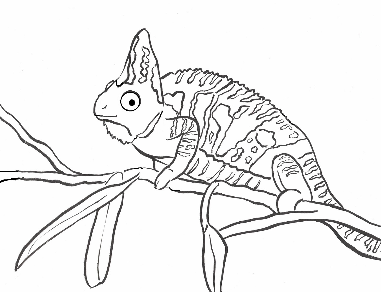 Chameleon coloring page
