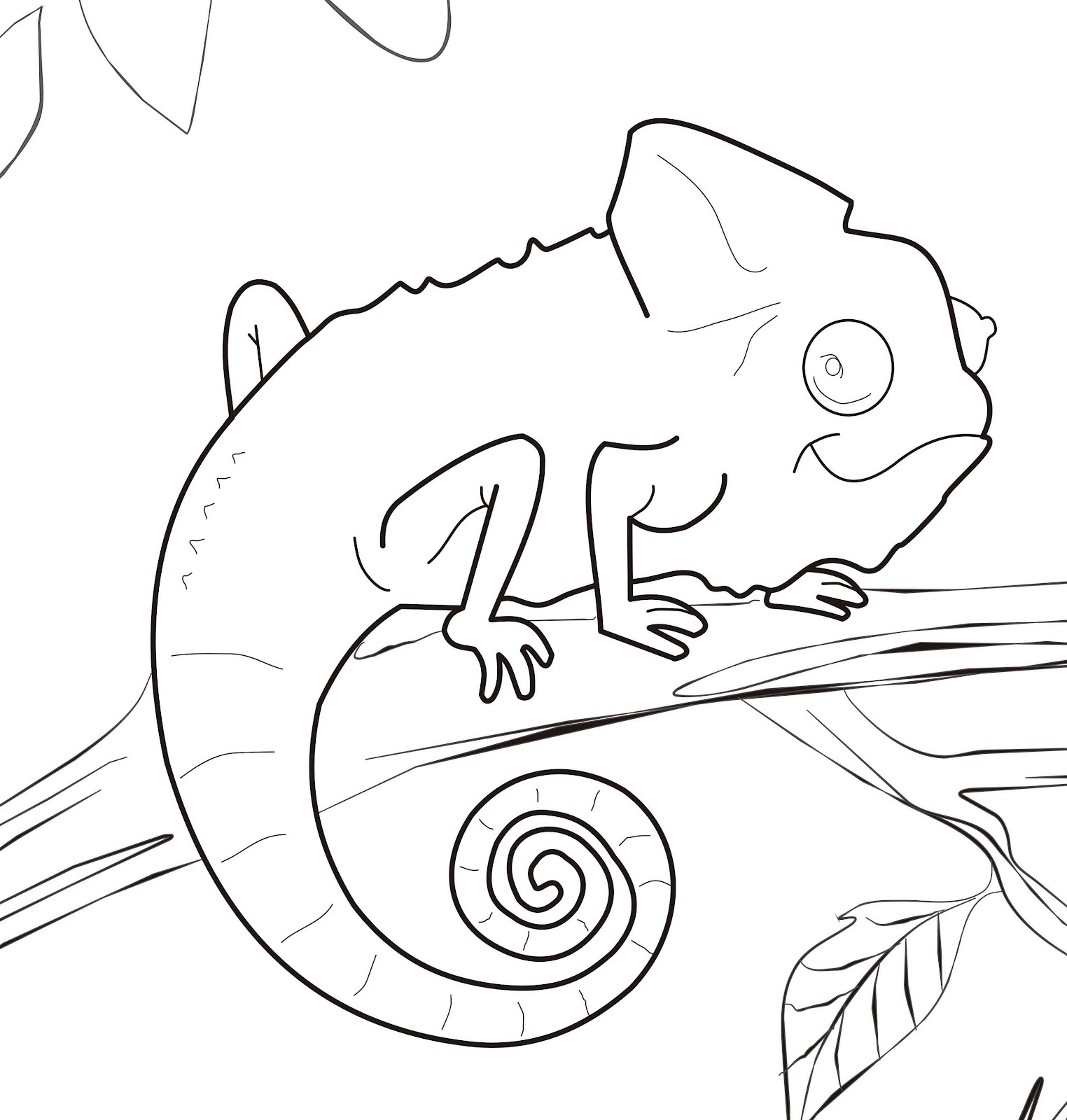 Chameleon coloring pages