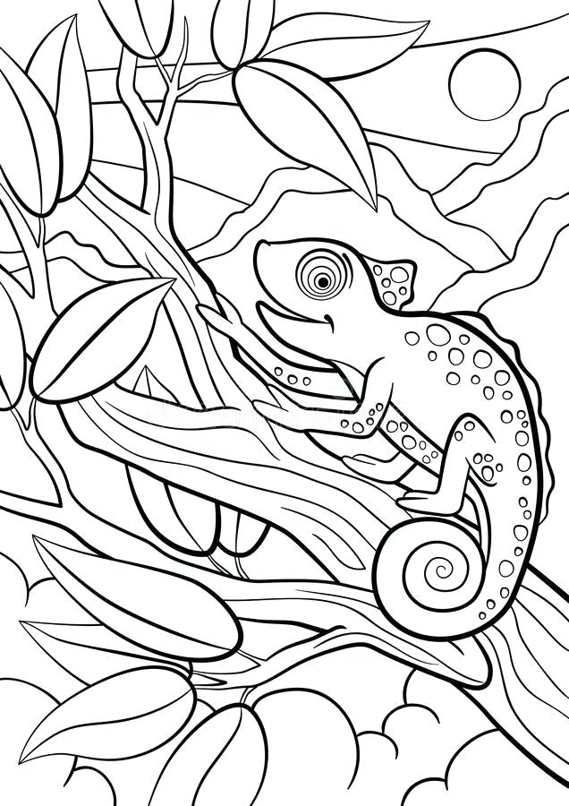 Chameleon coloring pages