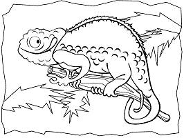 Chameleon coloring pages and printable activities