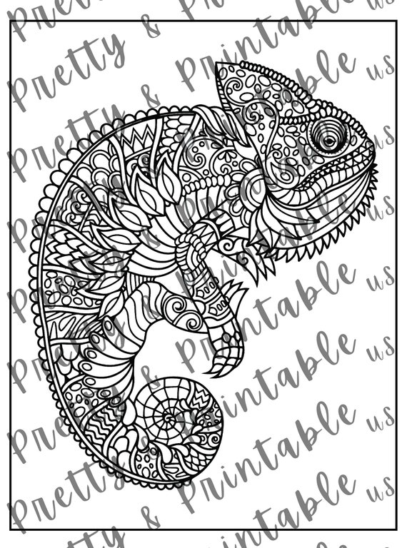 Printable chameleon coloring page instant download pdf