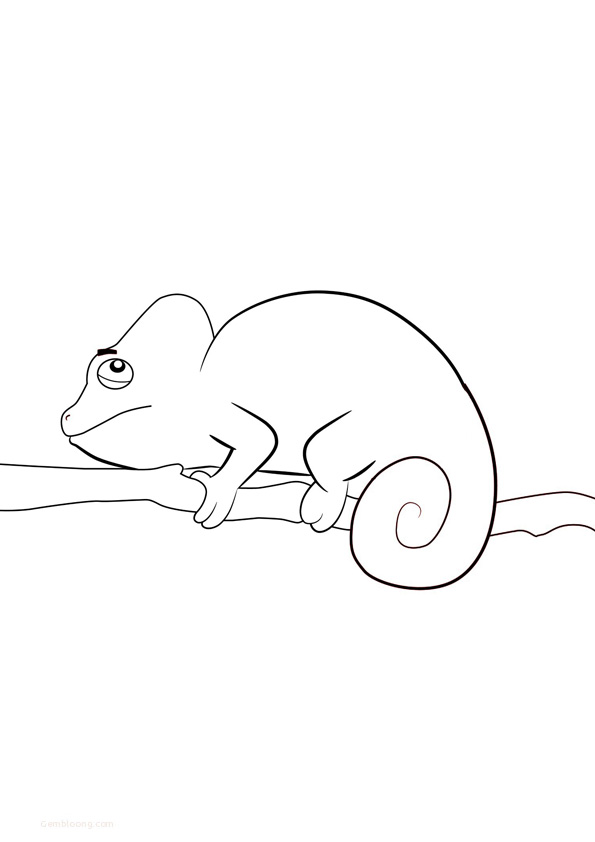 Coloring pages chameleon images coloring pages for kids