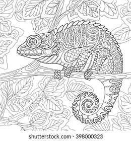Hakuun zentangle tyylitelty sarjakuva kameleontti istuu puun liittyvã vektorikuva rojaltivapaa