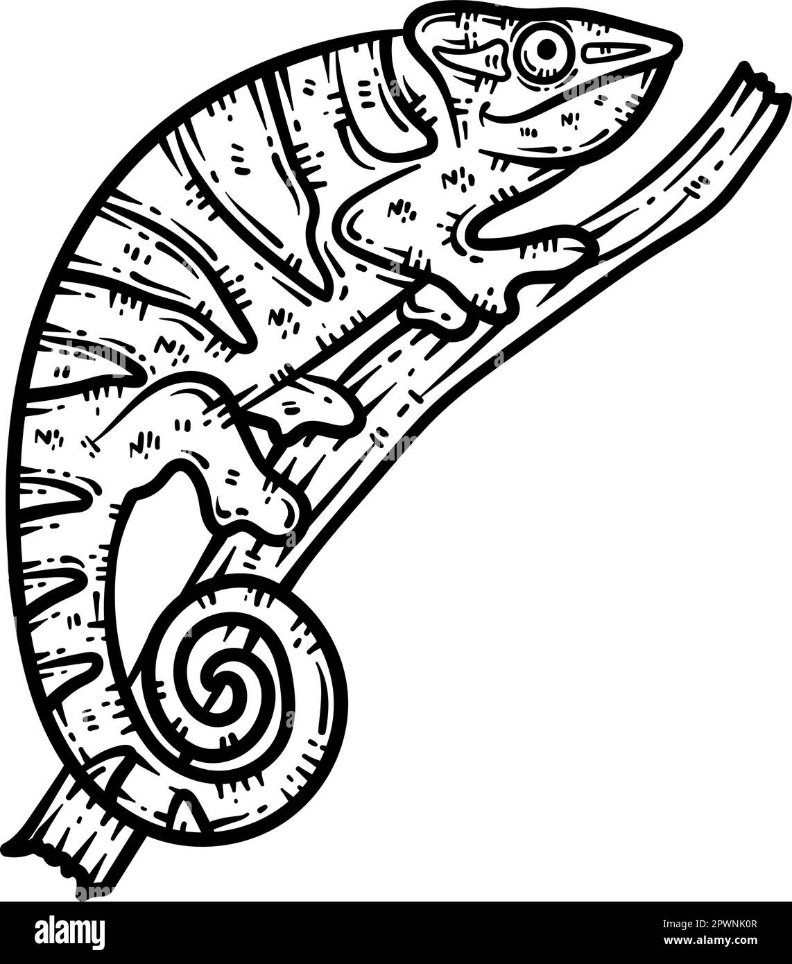 Chameleon animal coloring page for adults stock vector image art