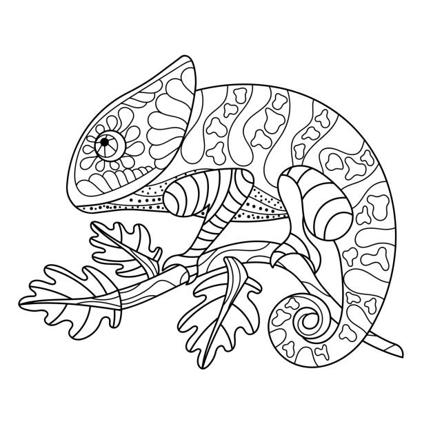 Chameleon coloring book stock illustrations royalty