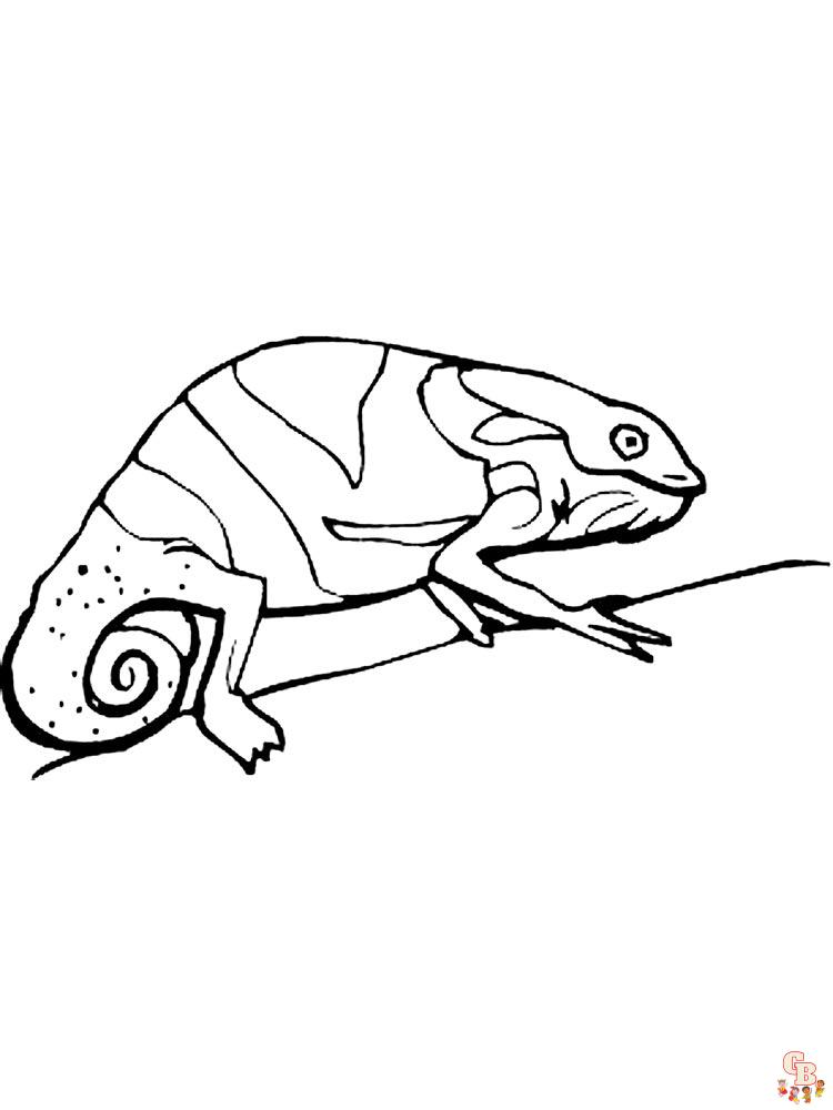 Chameleon coloring pages free printable and easy options