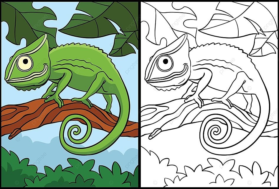 Chameleon coloring page colored illustration line clipart colored vector line clipart colored png and vector with transparent background for free download