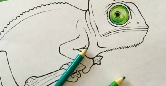 Chameleon coloring pages for kids kids activities blog