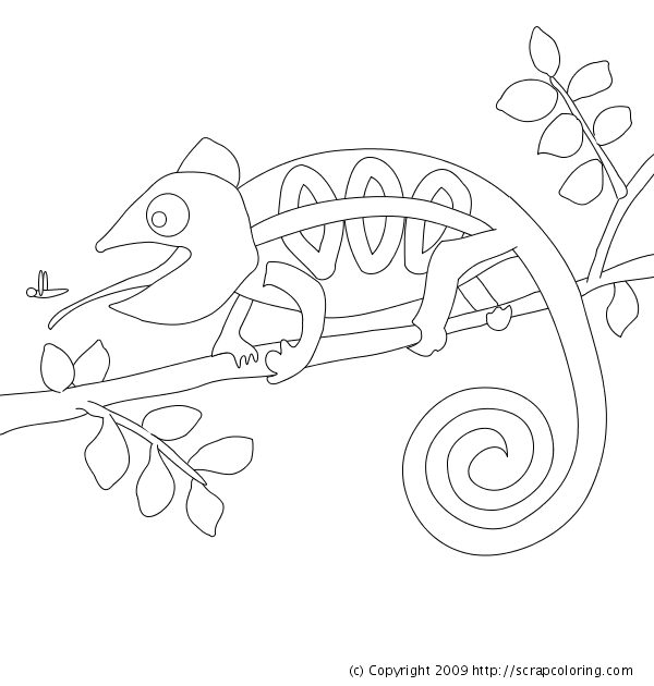 Chameleon coloring page