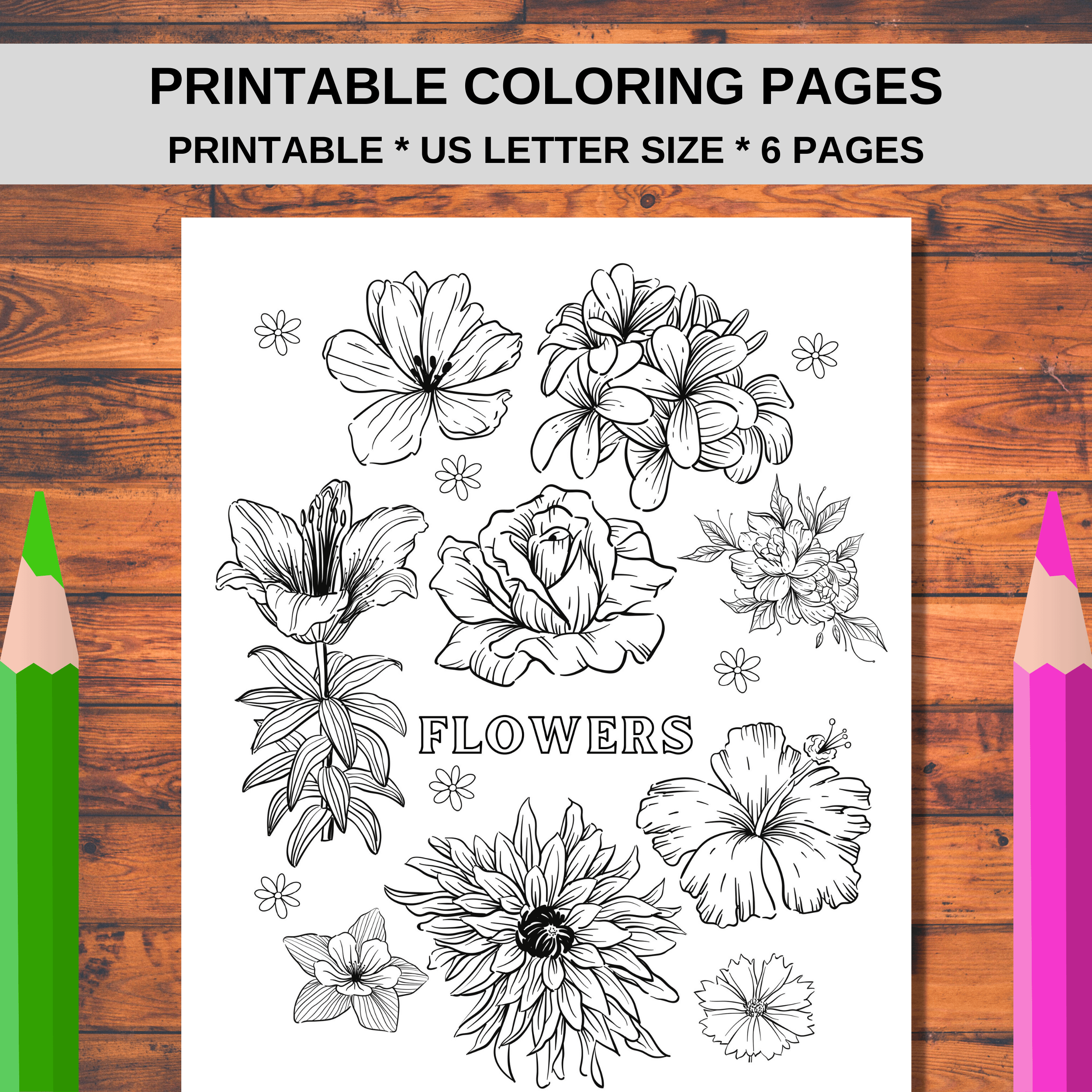 Sale printable coloring pages printable colouring sheets themed illustrations to color adult coloring pages mexican fiesta games activity a perfect activity for group party