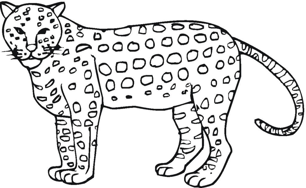 Free printable cheetah coloring pages for kids
