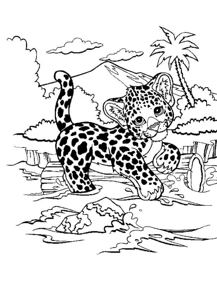 Leopard coloring pages printable for free download