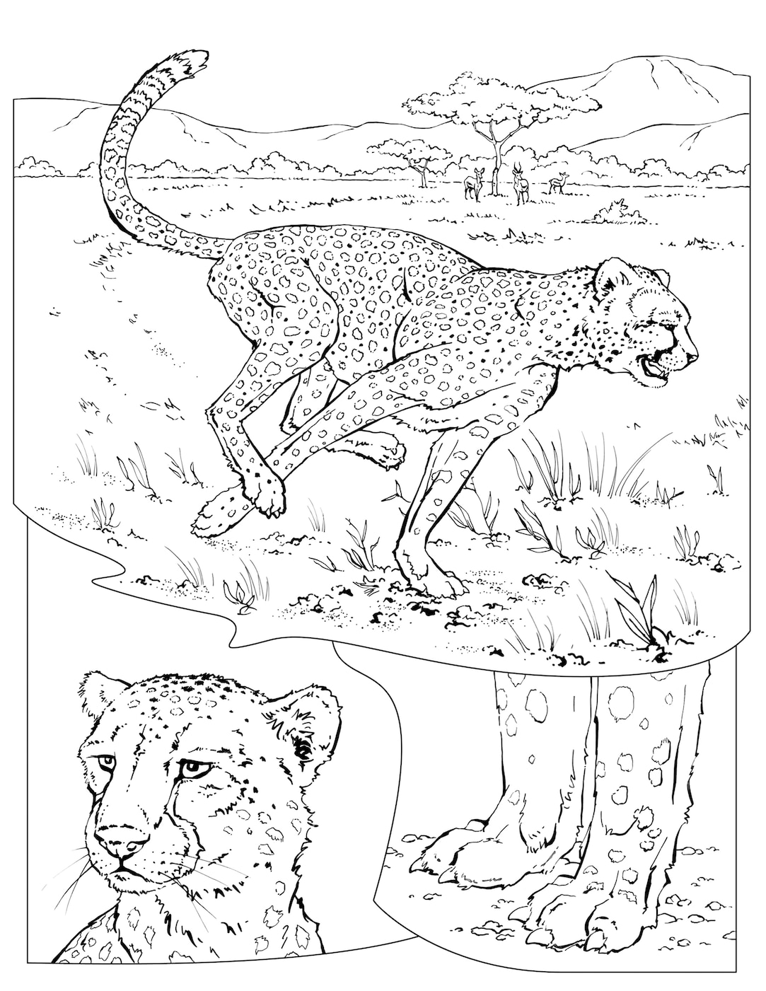 Coloring book animals a to i