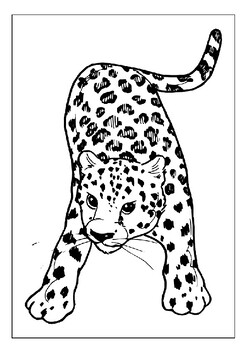 The perfect activity for animal lovers printable cheetah coloring pages p